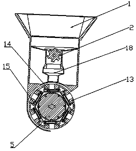 Magnetic coated garlic granule directional seeding device