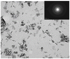 Raise ha/zro  <sub>2</sub> Method for Interfacial Bonding Force of Layered Composite Bioceramic Materials