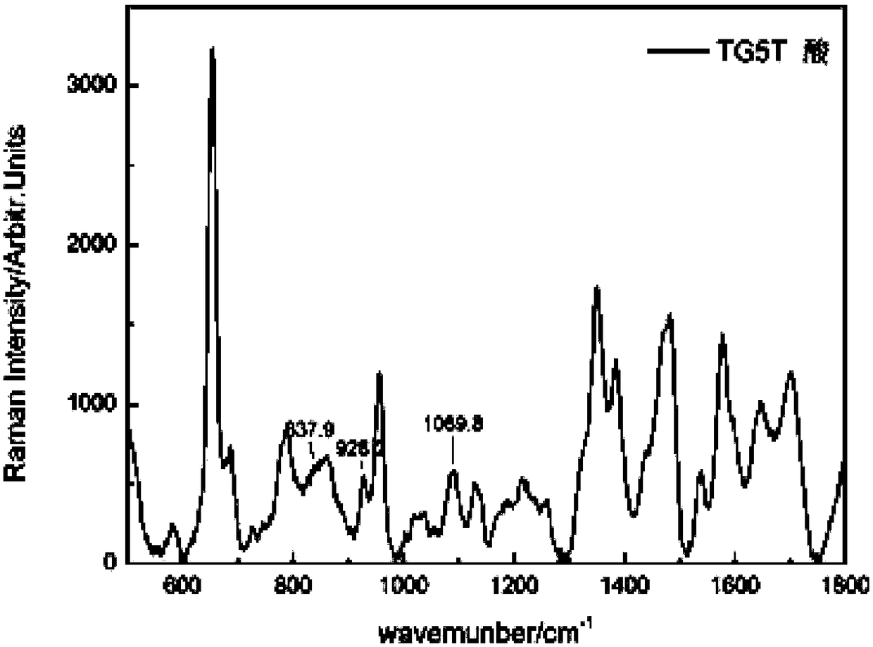 Nucleic acid structure detection method based on surface enhanced Raman spectroscopy