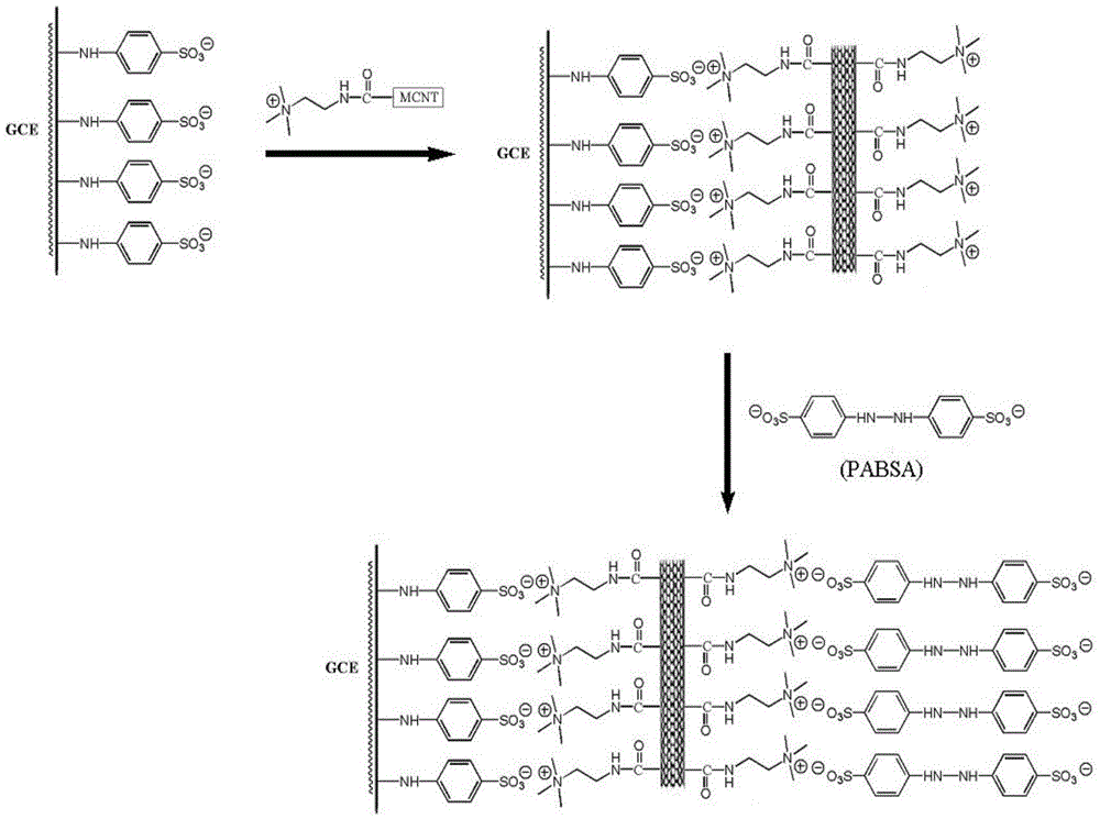 A novel carbon nanotube electrochemical sensing interface and its preparation method