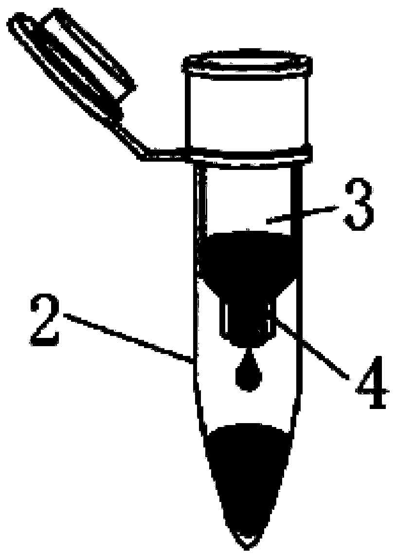 RNA extraction device and method