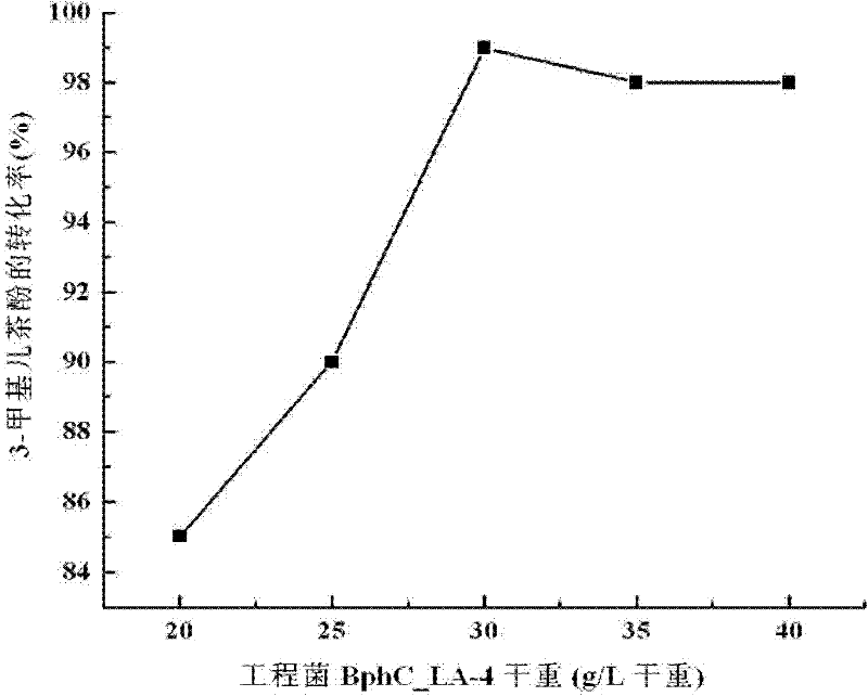 Process for multistep directional o-cresol conversion with biological method