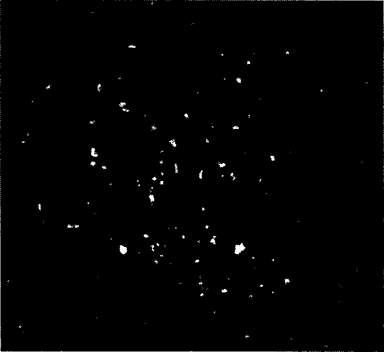 Nanolizing method for metal material surface