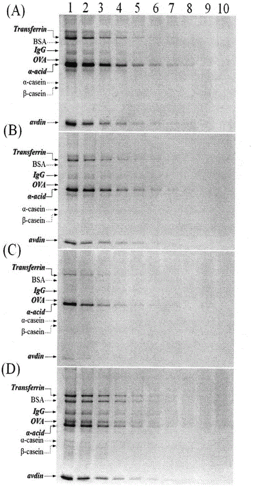 Application of 1-pyrenyl-carbohydrazide in specific detection of glycoproteins