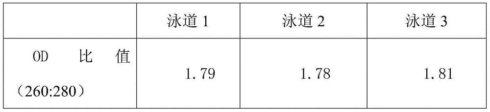 Method for rapidly extracting DNA of gram-positive bacterium genome based on paramagnetic particle method