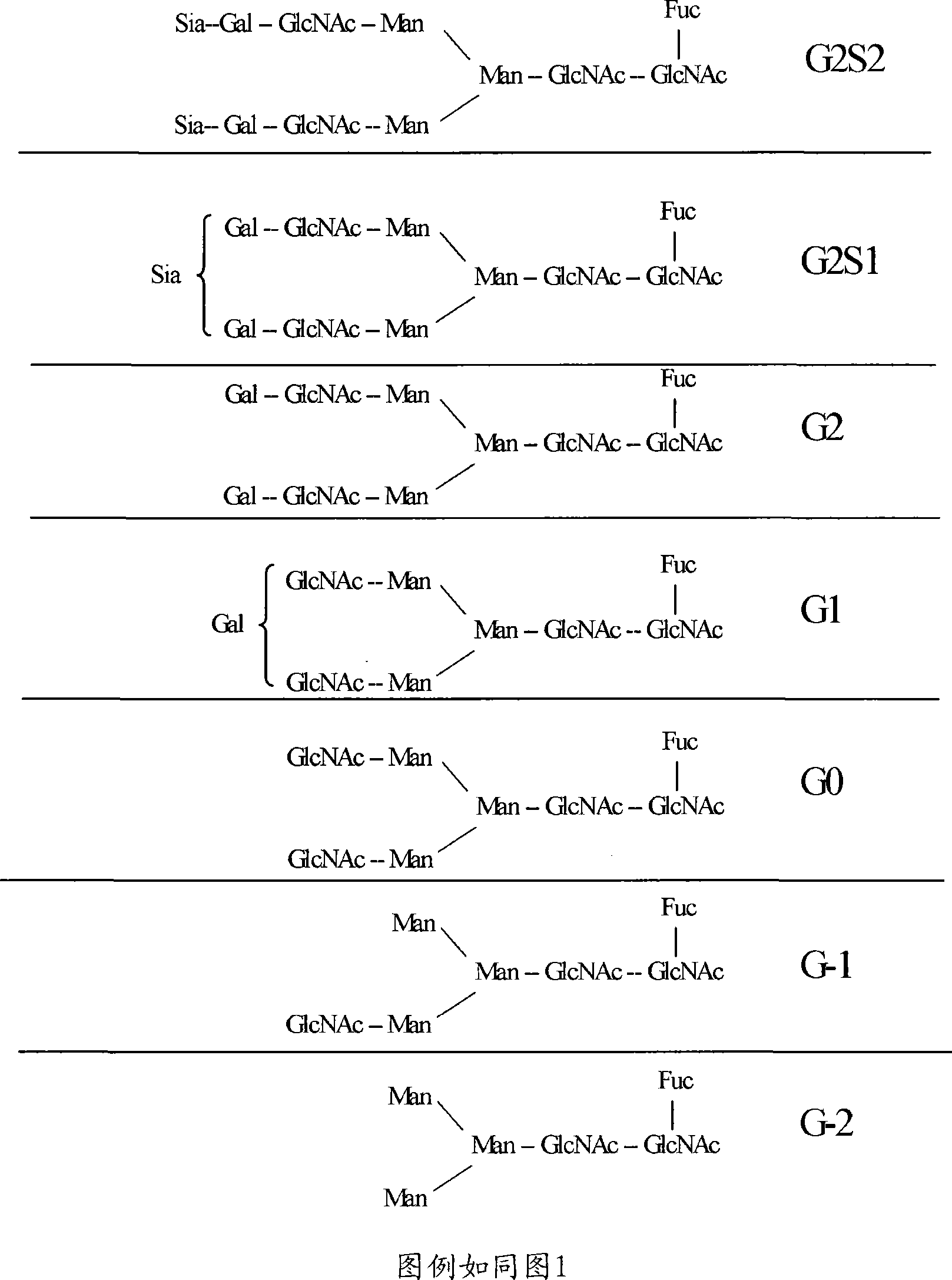 Methods and compositions with enhanced therapeutic activity