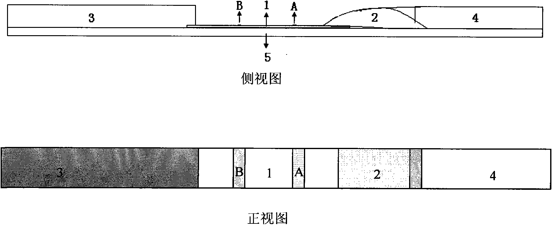 Method and detection strip for rapidly detecting human blood group antibodies