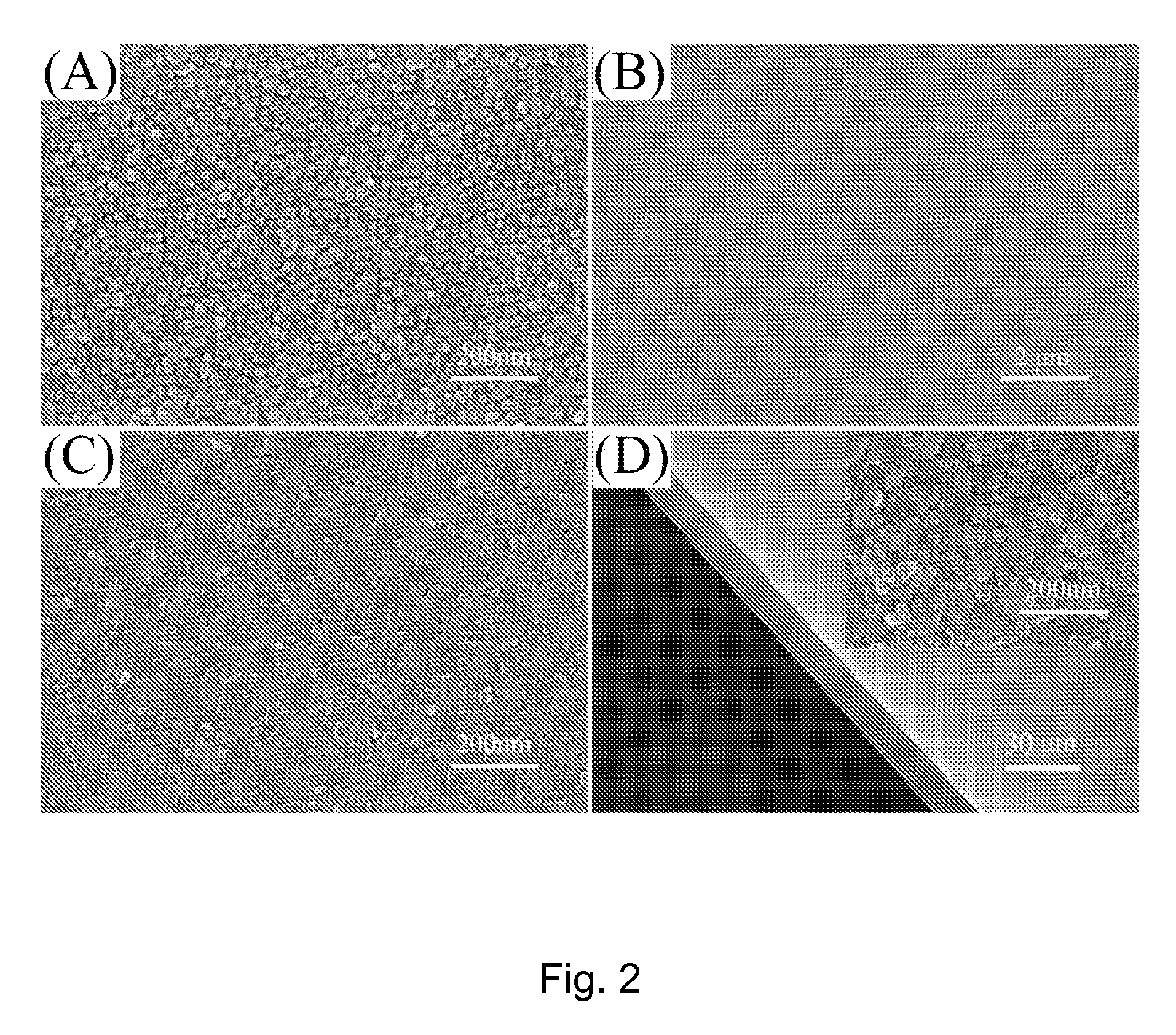 Method for preparing a large continuous oriented nanostructured mixed metal oxide film