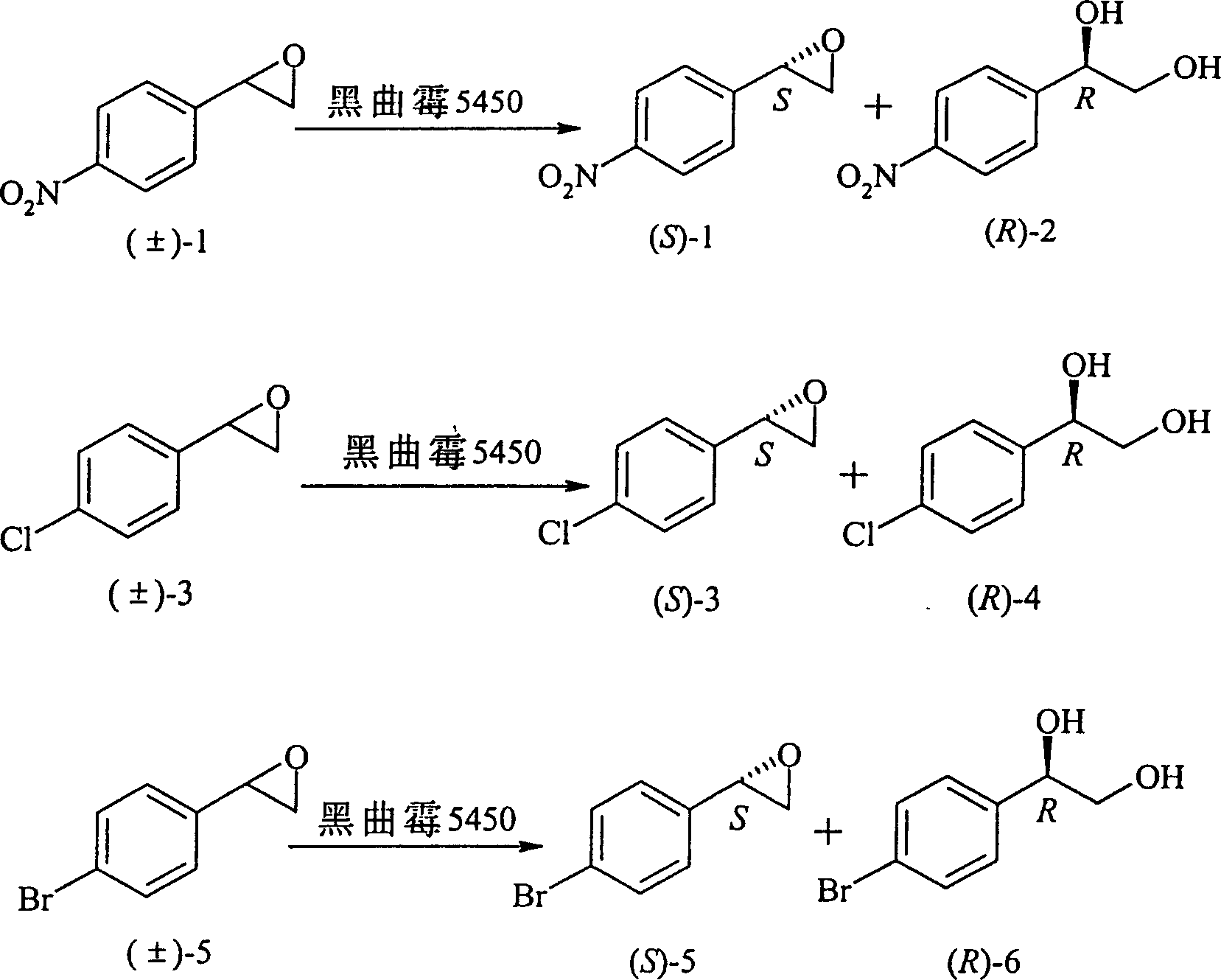 Aspergillus niger strain and its culture method and application