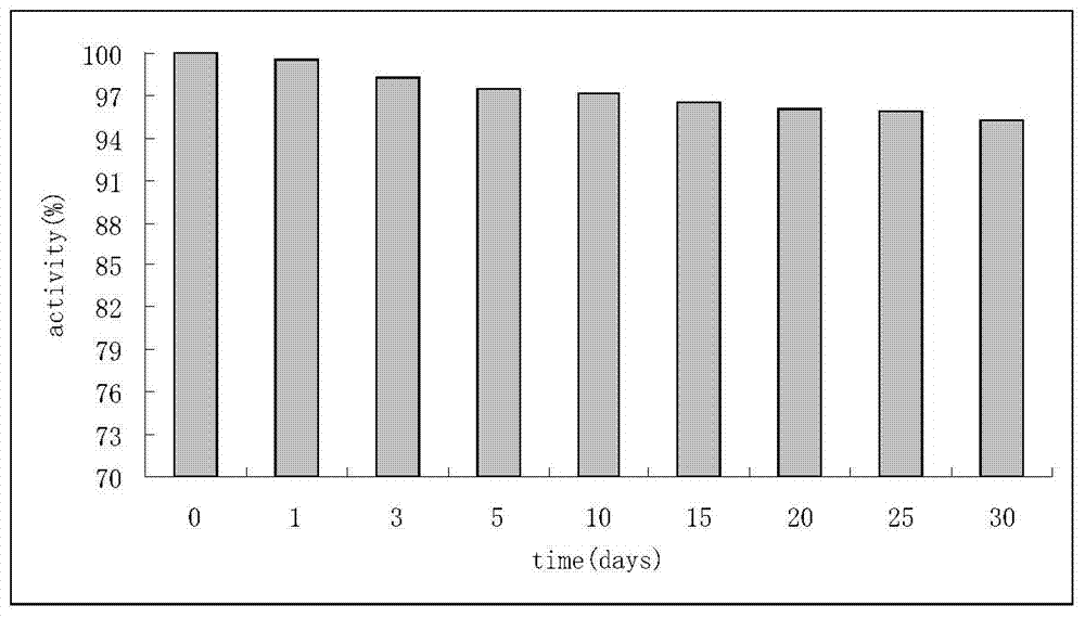 Slow-release polylactic acid microsphere capable of maintaining protein and polypeptide drug activity and preparation method thereof