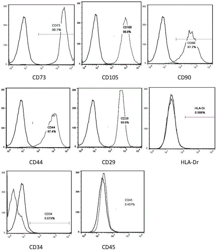 Umbilical cord tissue mesenchymal stem cell isolated culture method