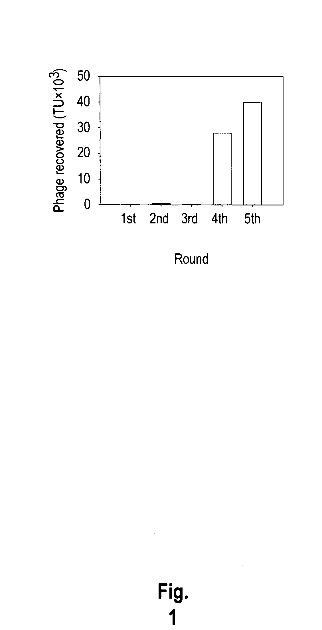 Lung cancer-targeted peptides and applications thereof