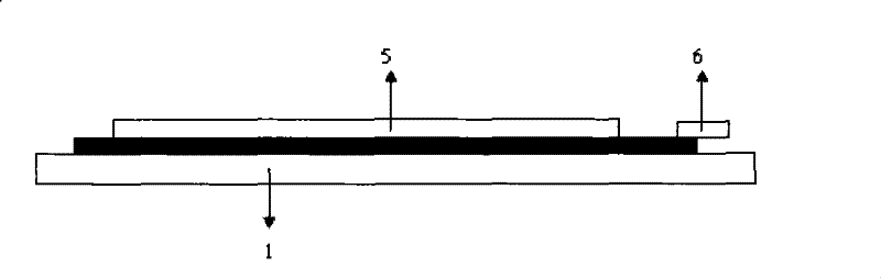 Sensing electrode for detecting chloramphenicol and method for producing molecular imprinting film thereof