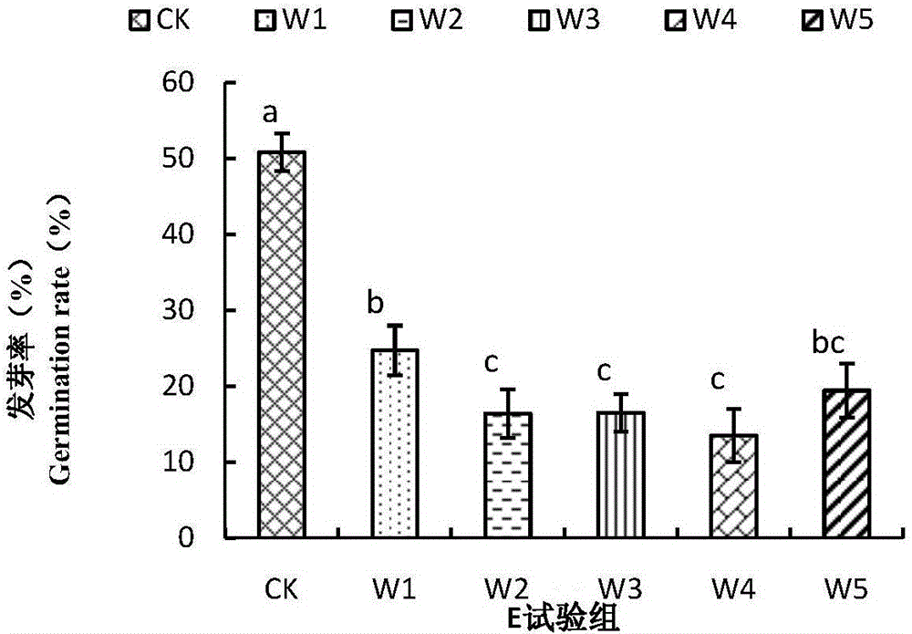 Method for researching interaction between Pleurotus ferulae fungi and eremophyte ferula asafoetida seed germination