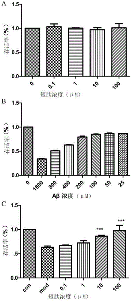 Specific antagonist peptide for advanced glycation end product receptor as well as derivatives and application of specific antagonist peptide