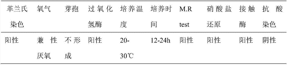 Hlavobacterium breve biocontrol strain for effectively degrading aflatoxin and application of flavobacterium breve biocontrol strain