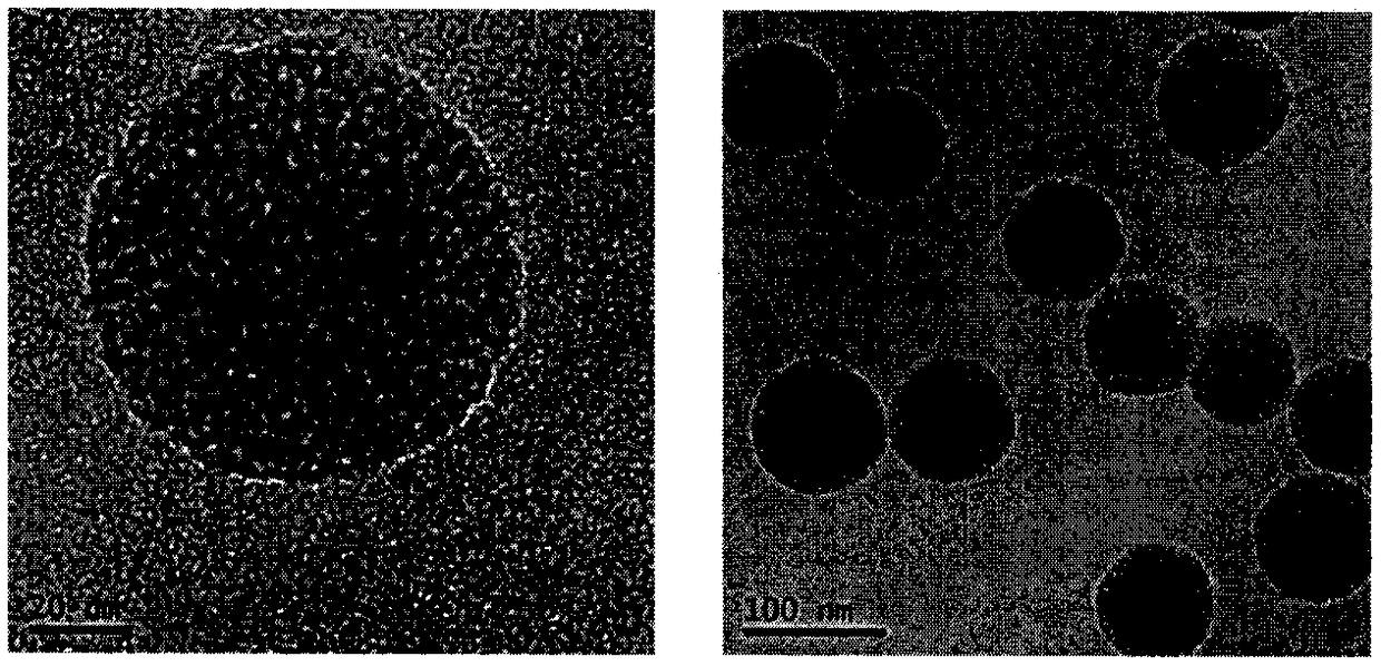 A Folic Acid Modified Realgar-Mesoporous Silica Nanocomposite Drug