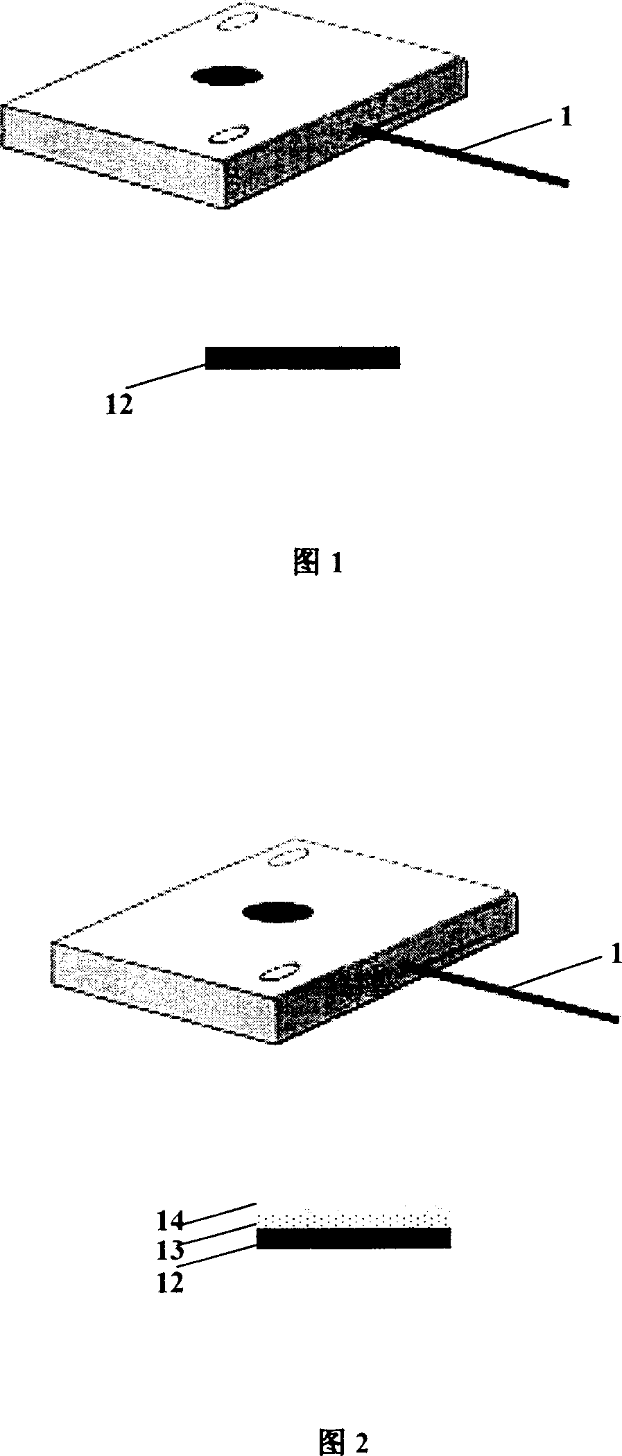 Method for realizing protein separation detection by using PVP/CdS quanta dot modified electrode