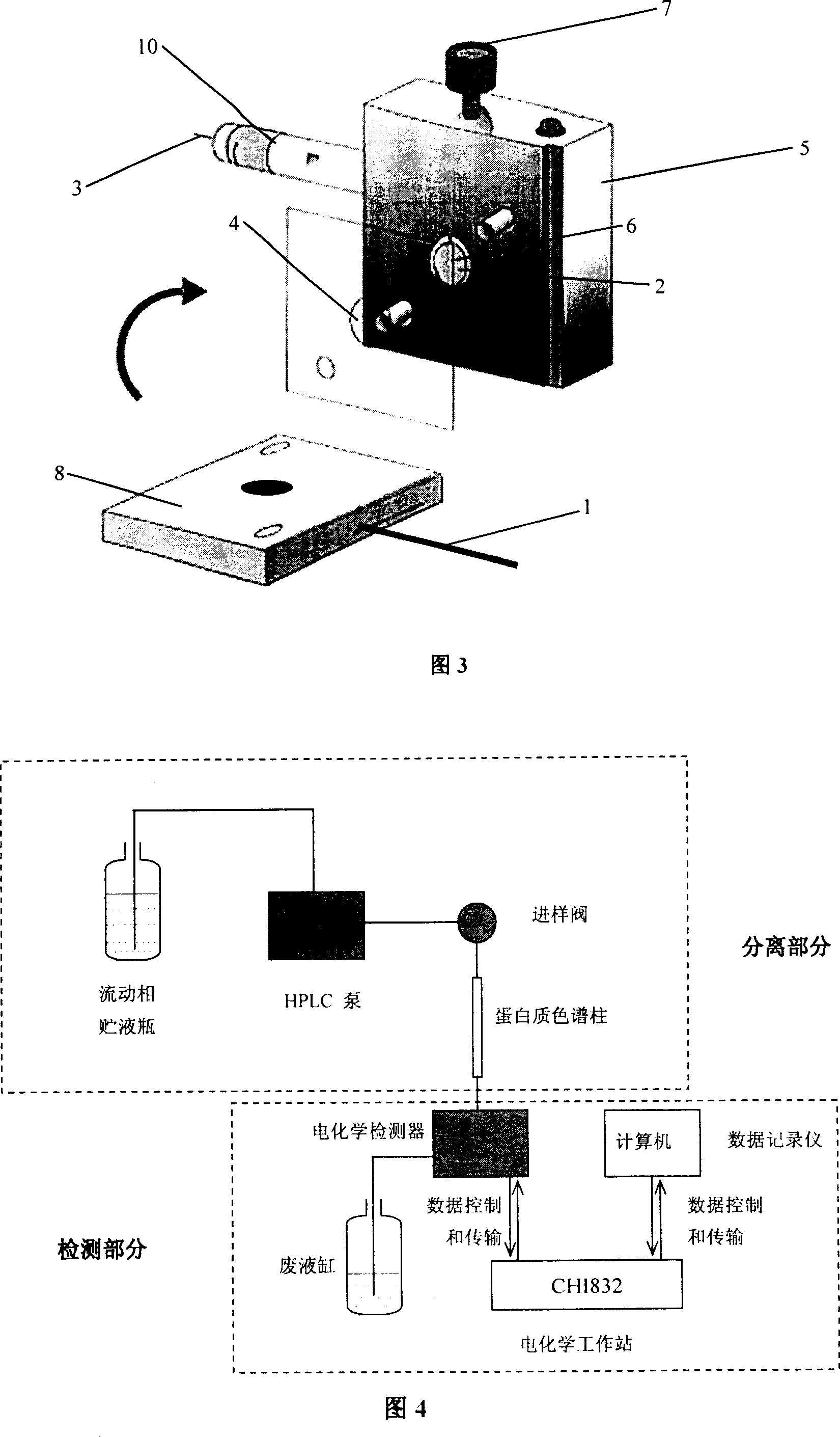 Method for realizing protein separation detection by using PVP/CdS quanta dot modified electrode