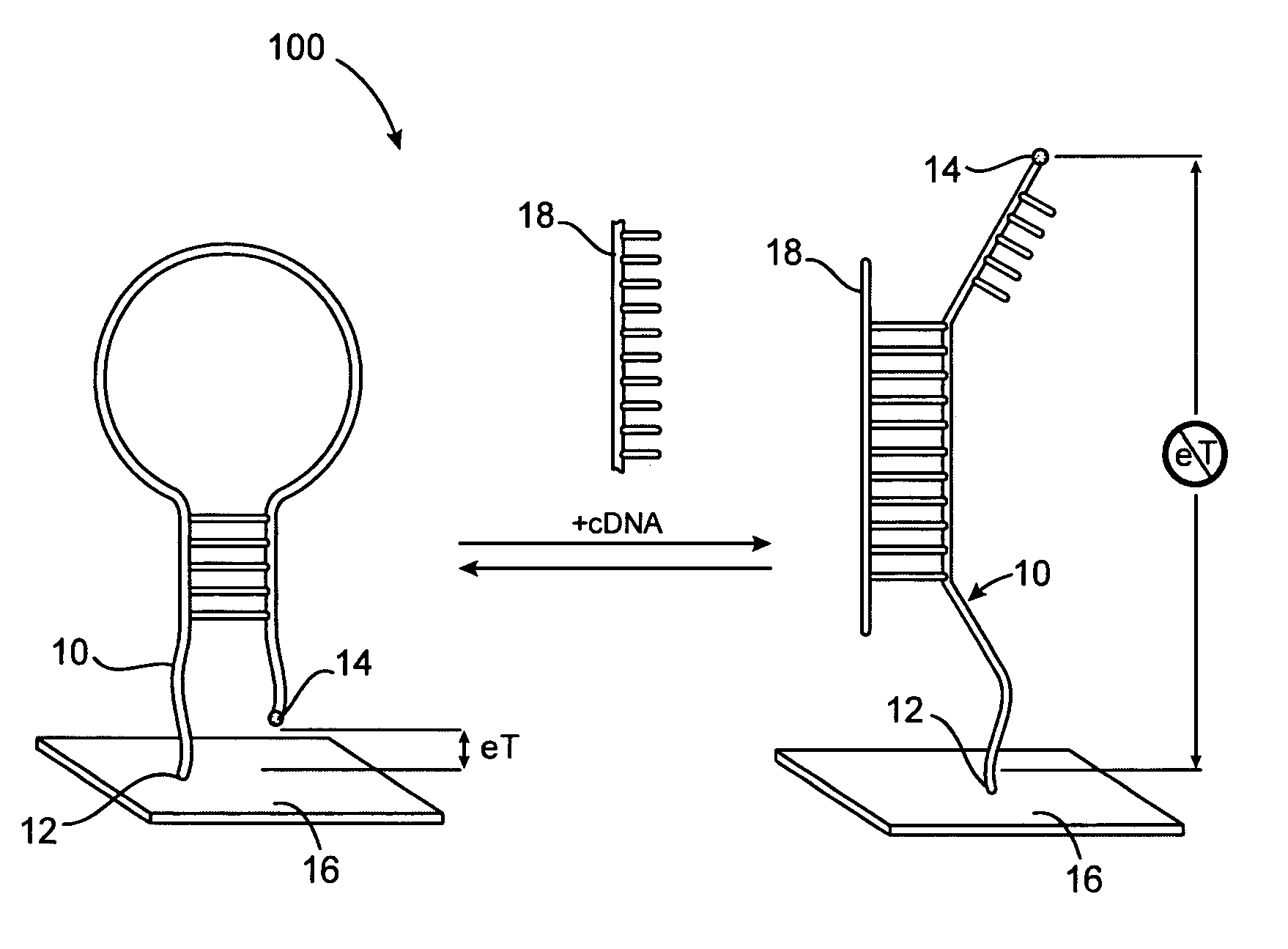 Reagentless, reusable, bioelectronic detectors employing aptamers