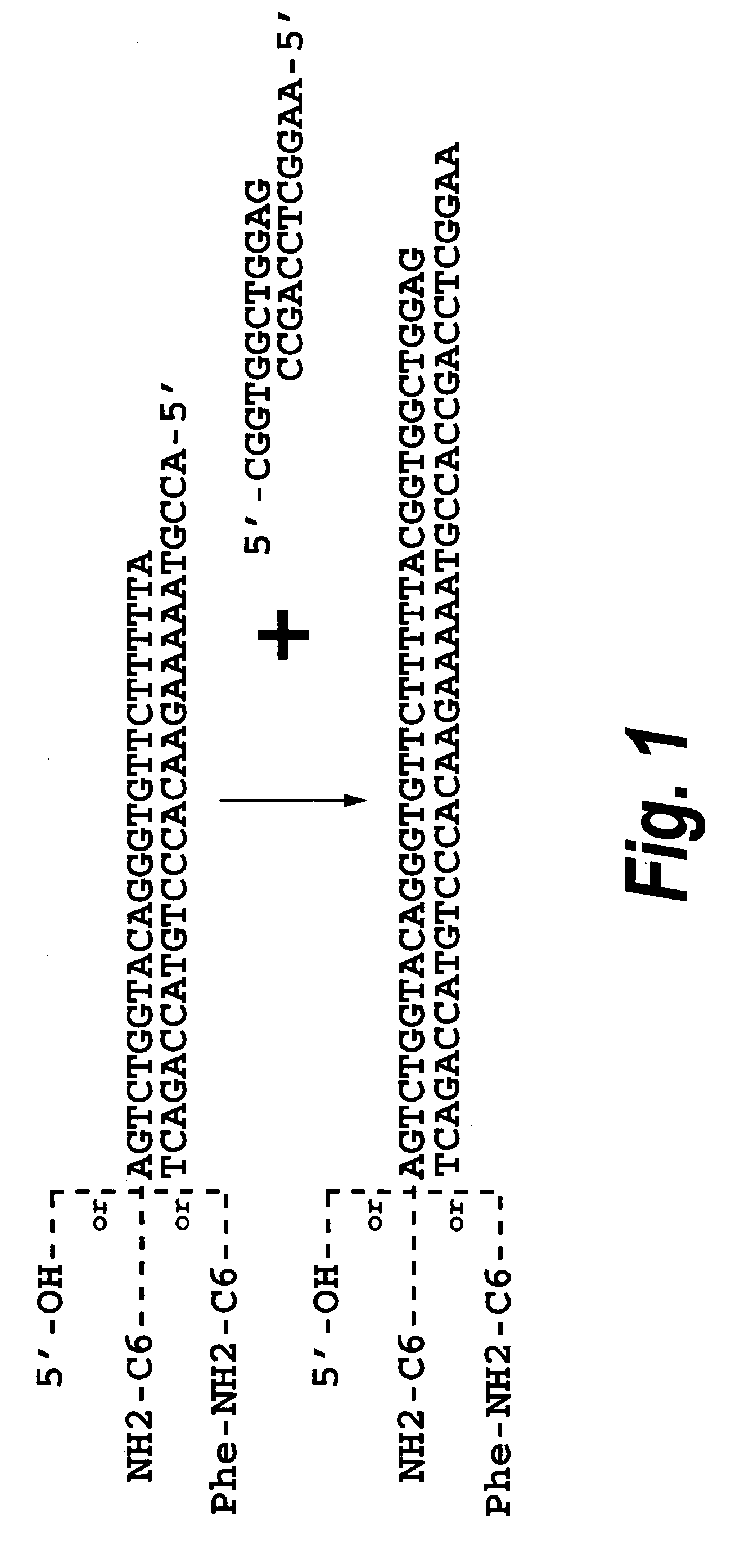 Methods for synthesis of encoded libraries