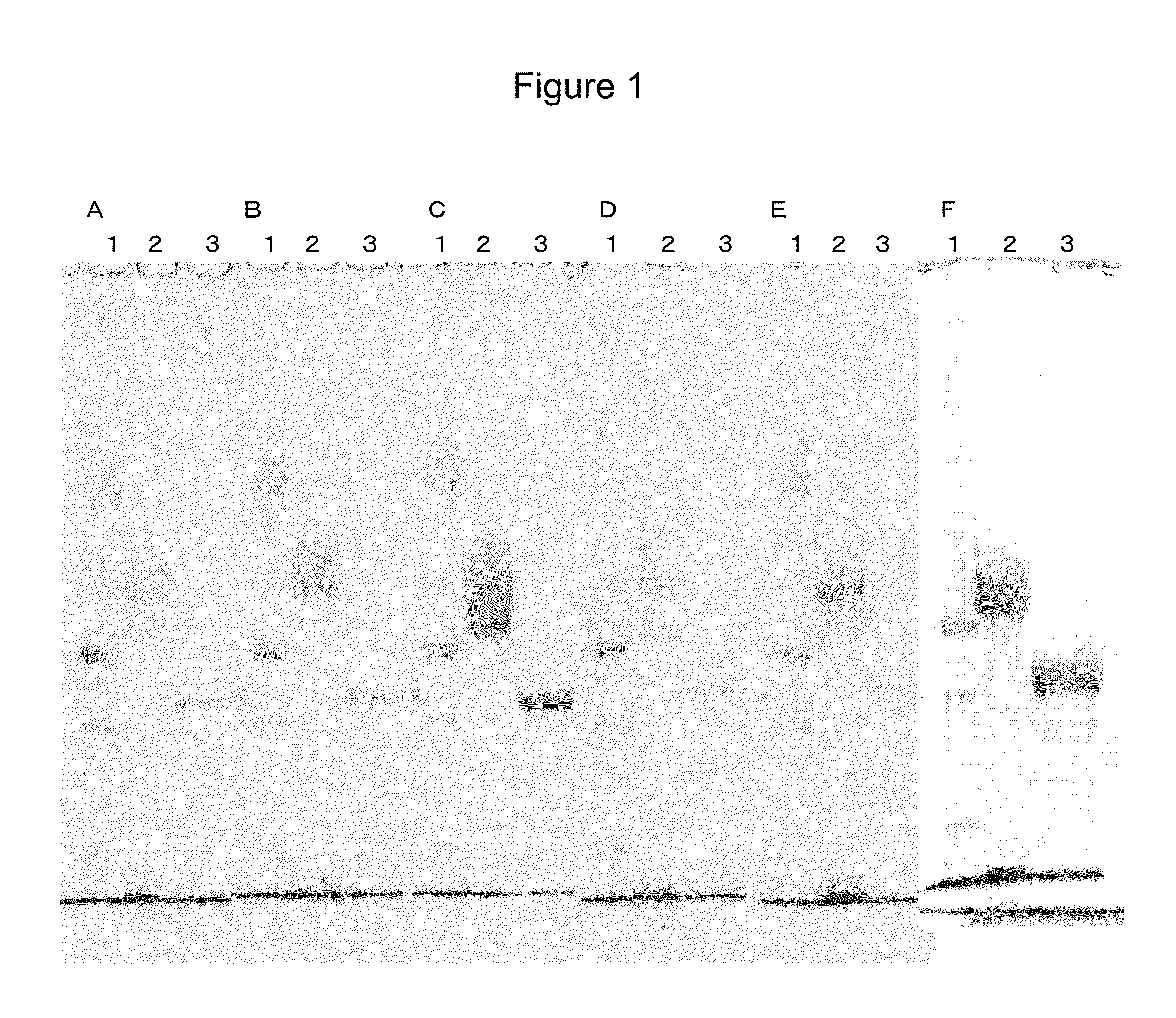 Flavin-conjugated glucose dehydrogenase and polynucleotide encoding the same