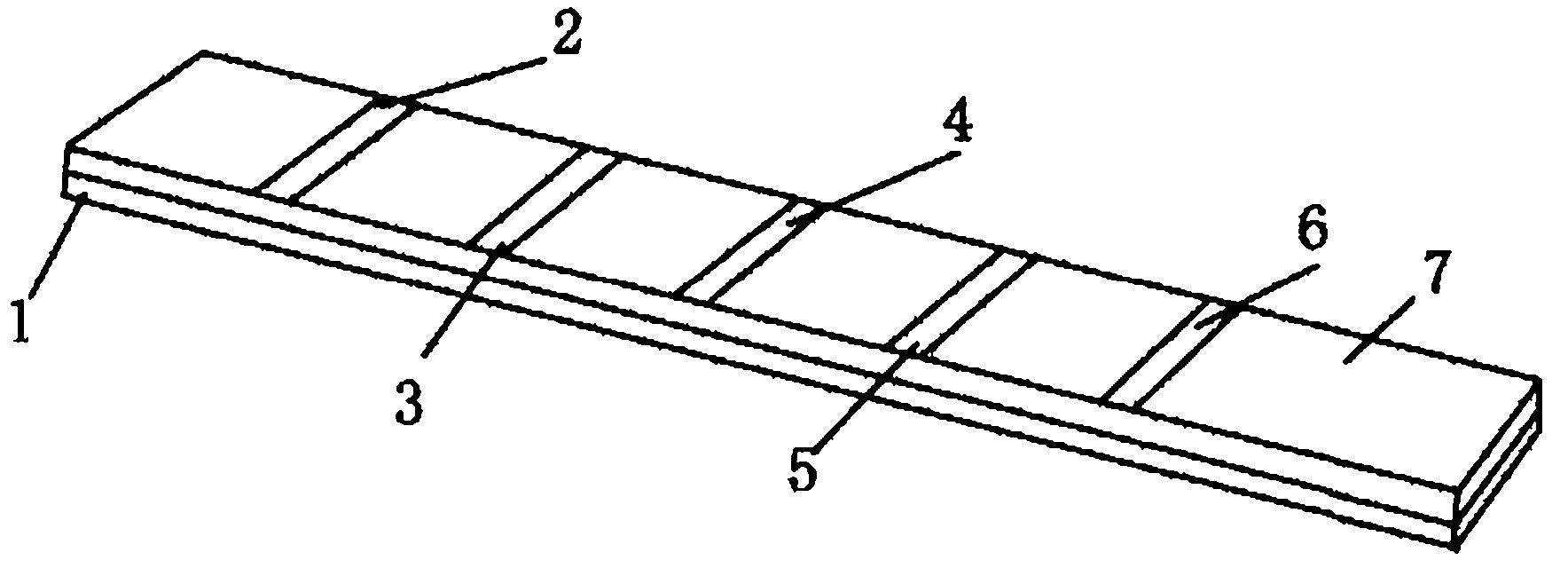 Toxoplasma gondii IgG antibody immunoblotting kit and preparation method thereof