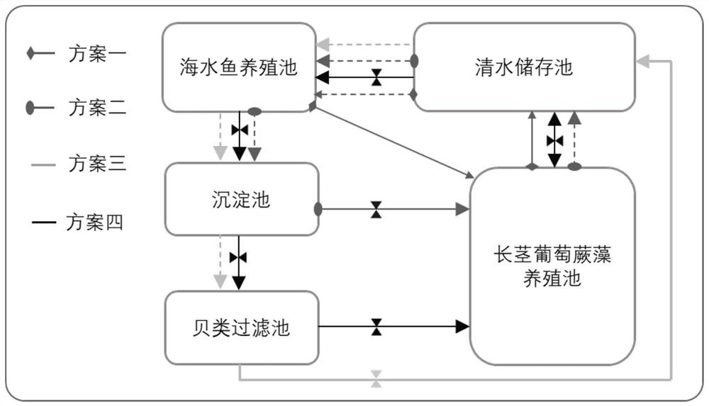 Purification treatment method and purification treatment system for marine fish culture tail water