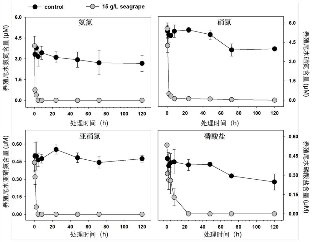 Purification treatment method and purification treatment system for marine fish culture tail water