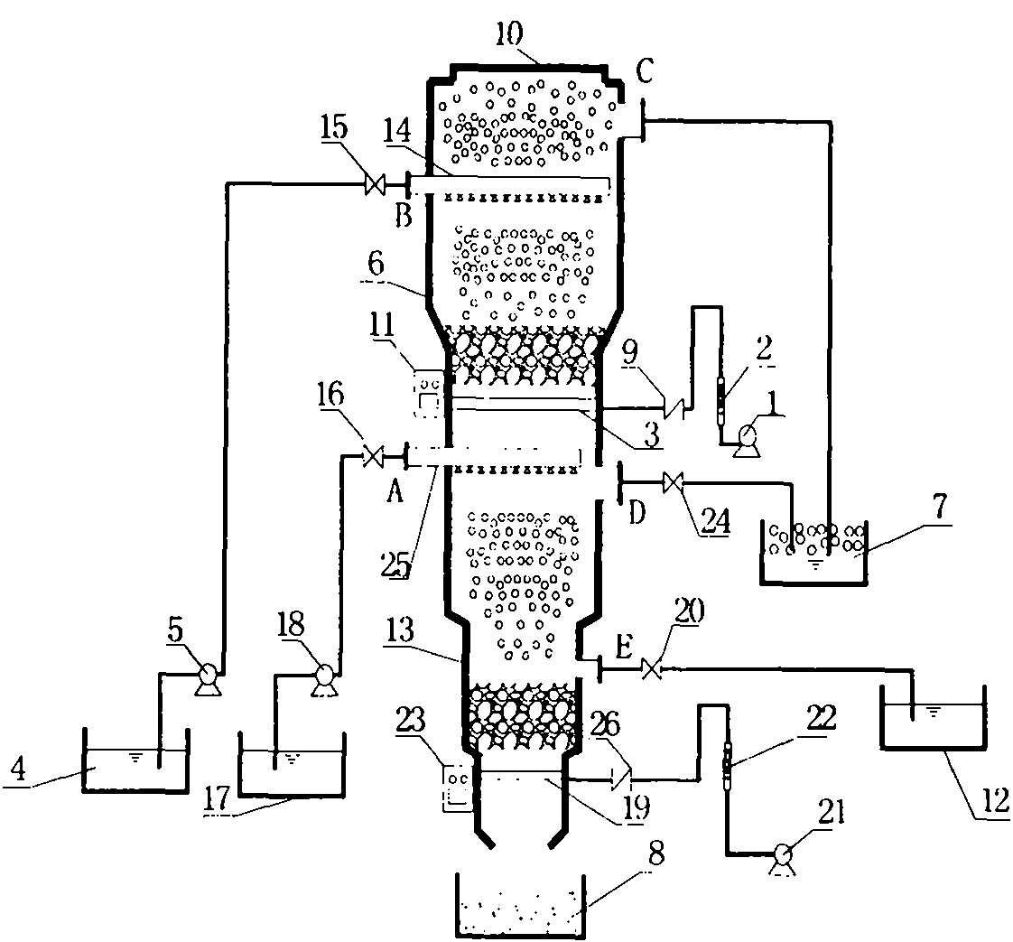 Novel foam separation equipment for restoring heavy metal polluted soil