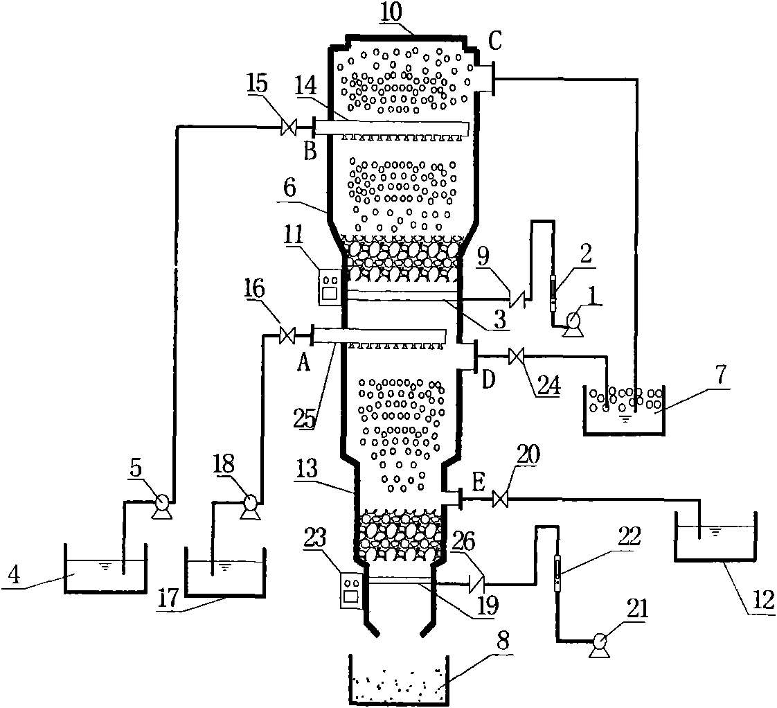 Novel foam separation equipment for restoring heavy metal polluted soil