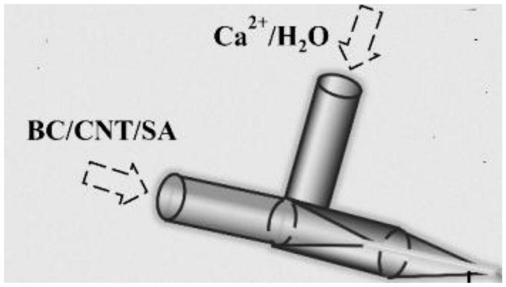 A kind of preparation method of bacterial cellulose-carbon nanotube/polyaniline composite microfiber and micro supercapacitor