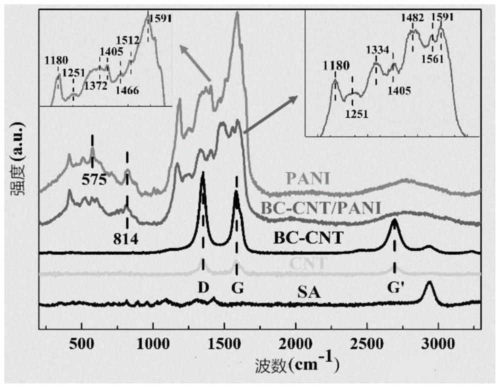 A kind of preparation method of bacterial cellulose-carbon nanotube/polyaniline composite microfiber and micro supercapacitor