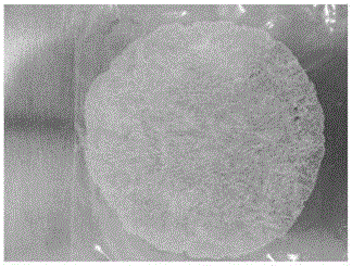 Polyacrylamide (PAM) solid compound polymer electrolyte and preparation method thereof