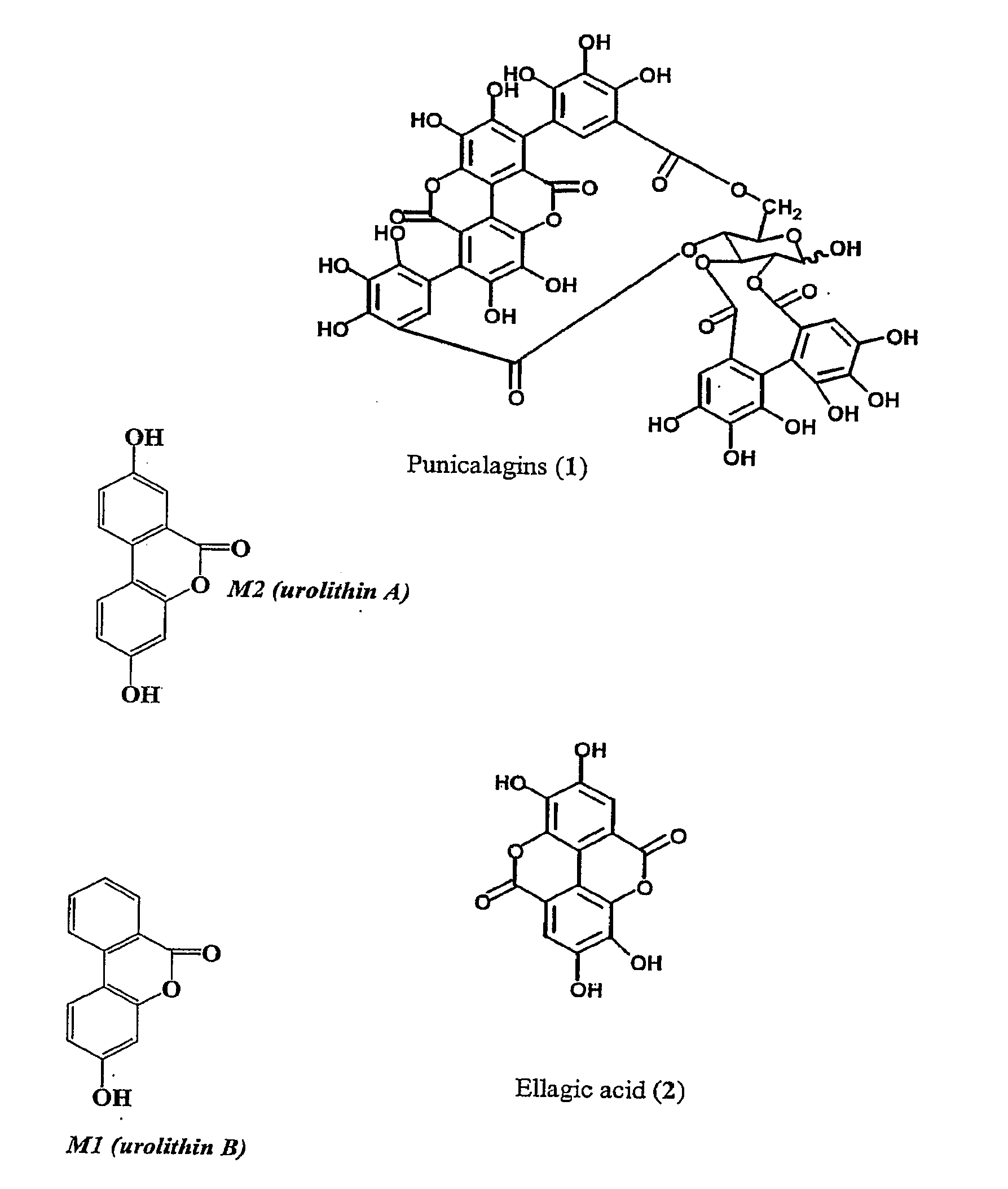 Therapeutic uses of urolithins