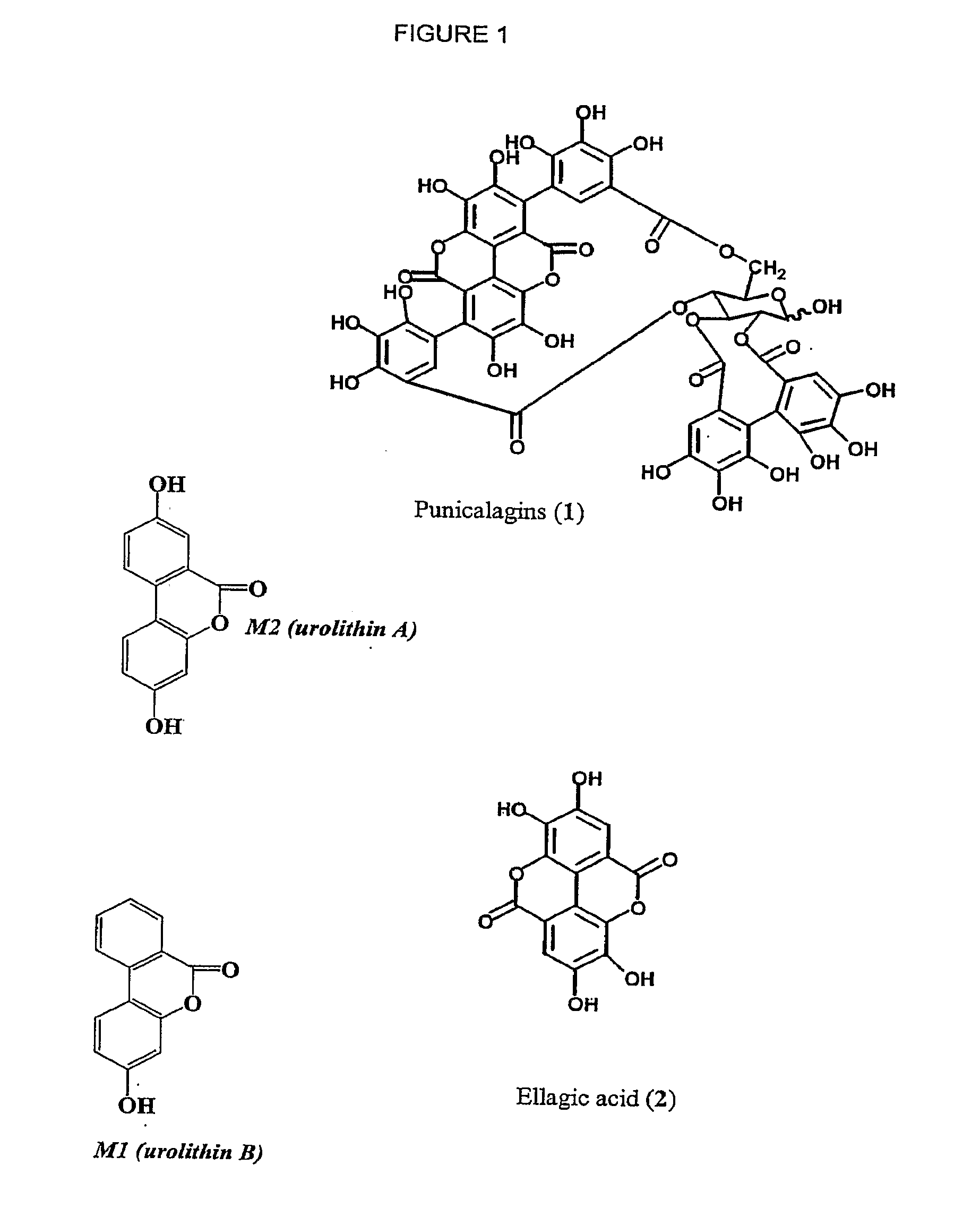 Therapeutic uses of urolithins