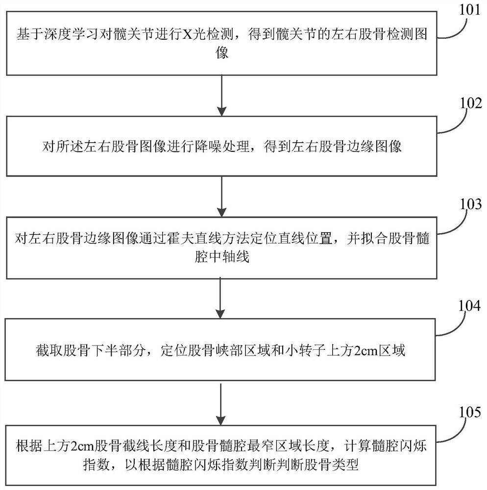 Femoral marrow cavity type detection method and system