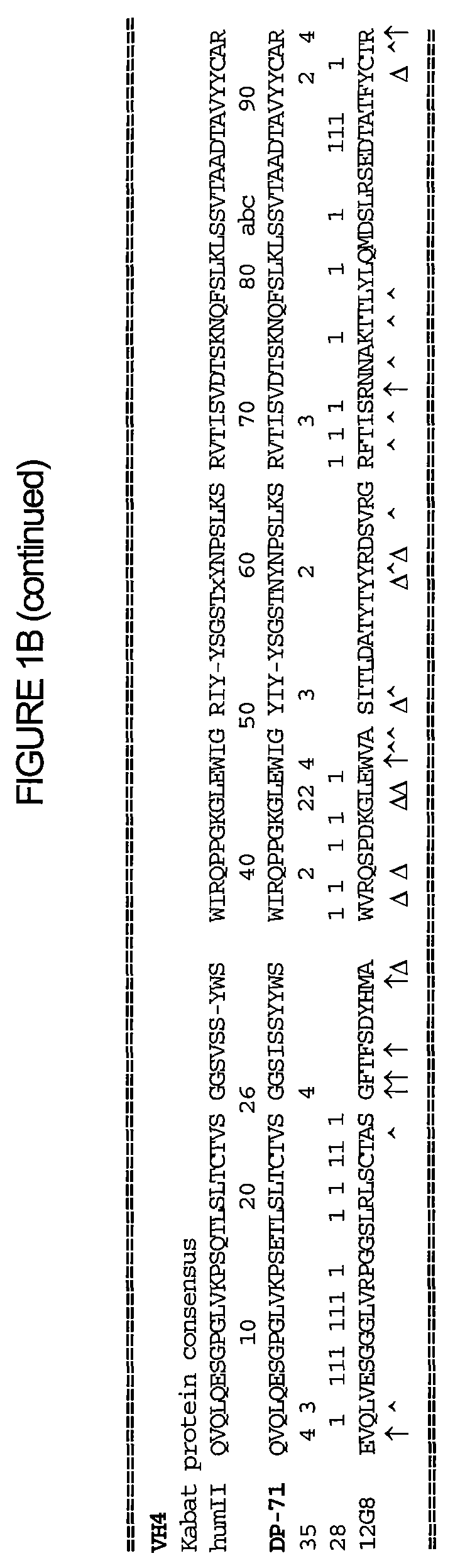 Interleukin-10 antibodies