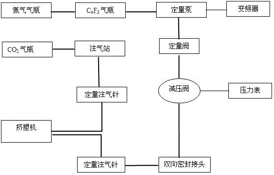 Dual-path gas injection system for physical foaming process and gas injection method thereof