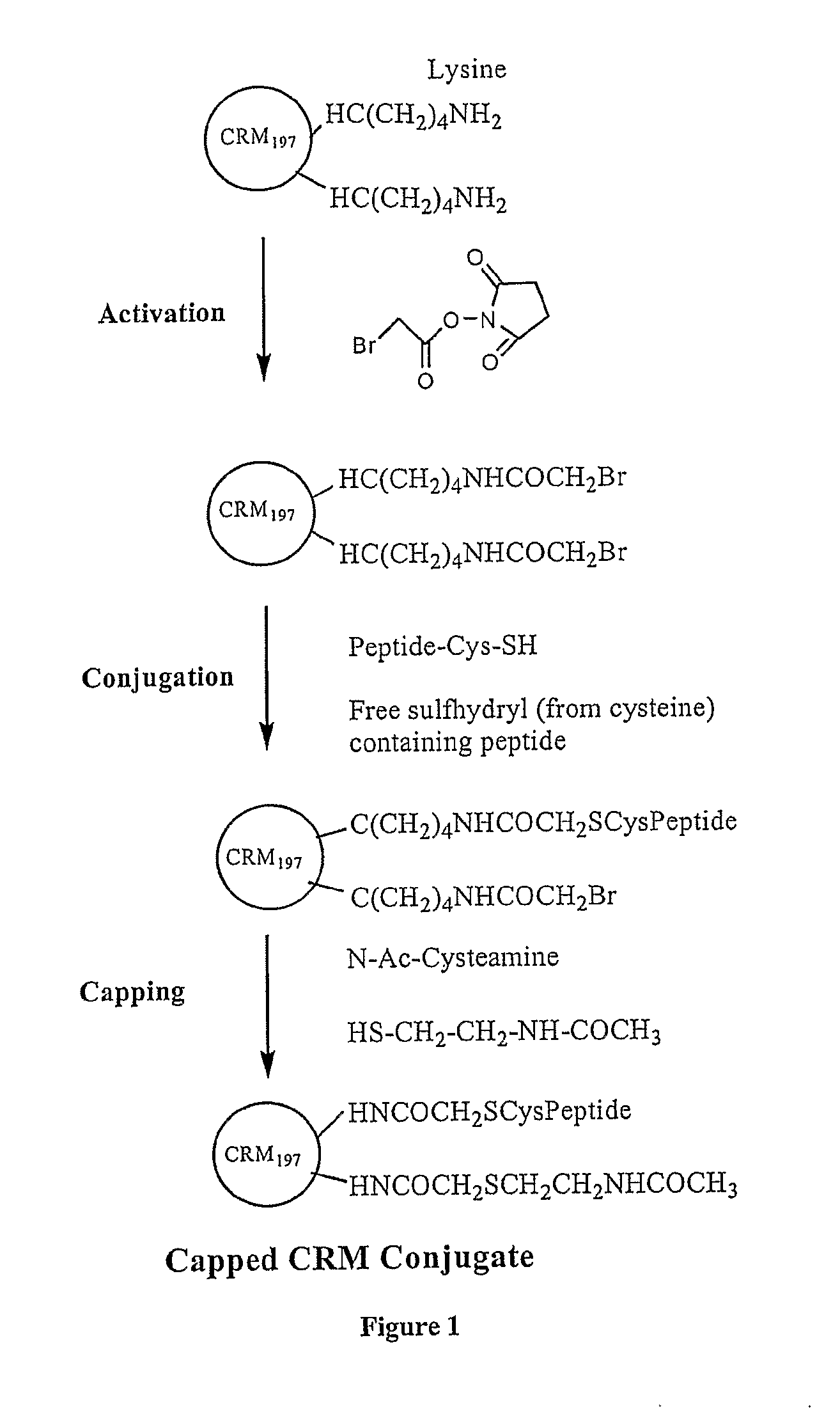 Immunogenic peptide carrier conjugates and methods of producing same