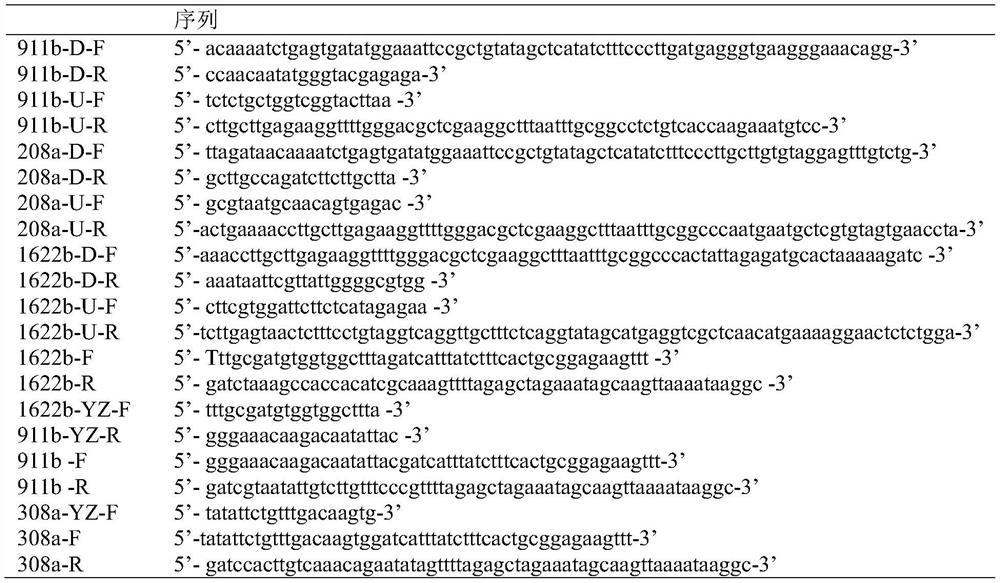 Genetically engineered bacterium for producing L-menthol as well as construction method and application of genetically engineered bacterium