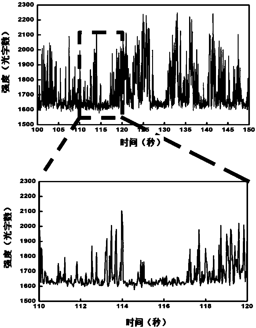 Telomere probe and preparation method and application thereof