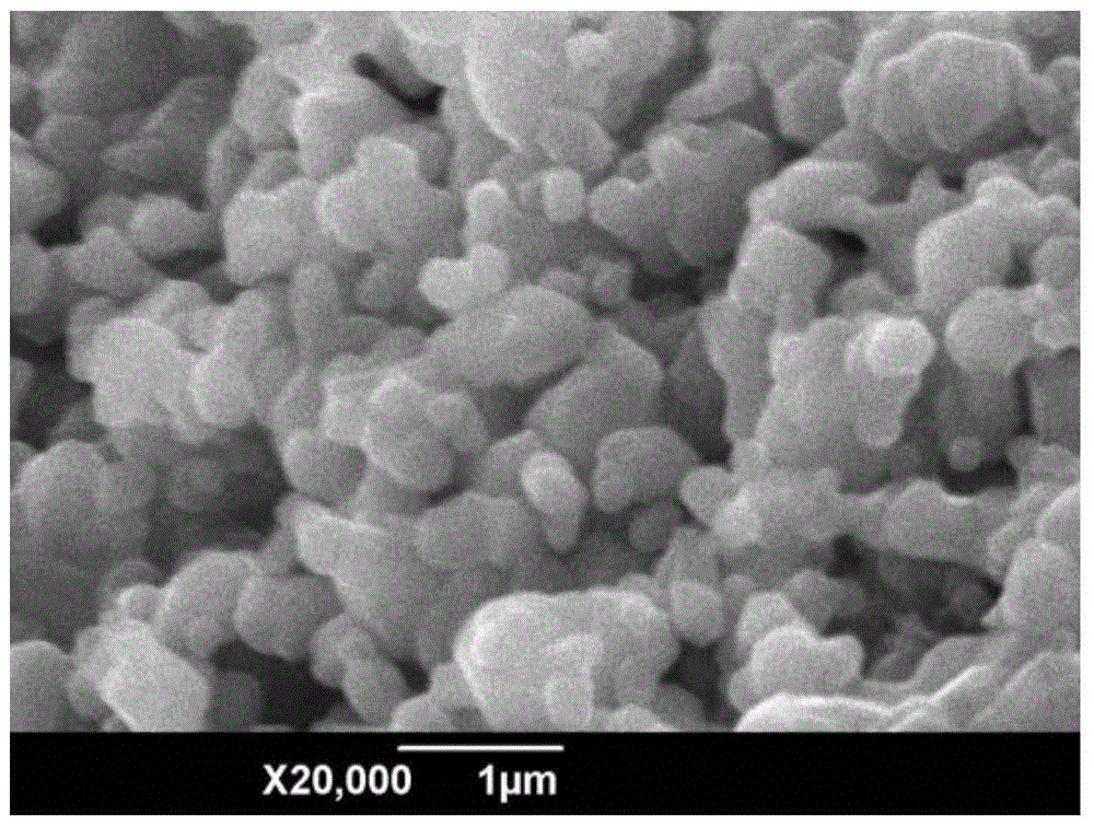 A kind of cobalt-free lithium-rich manganese-based positive electrode material and its preparation method and application