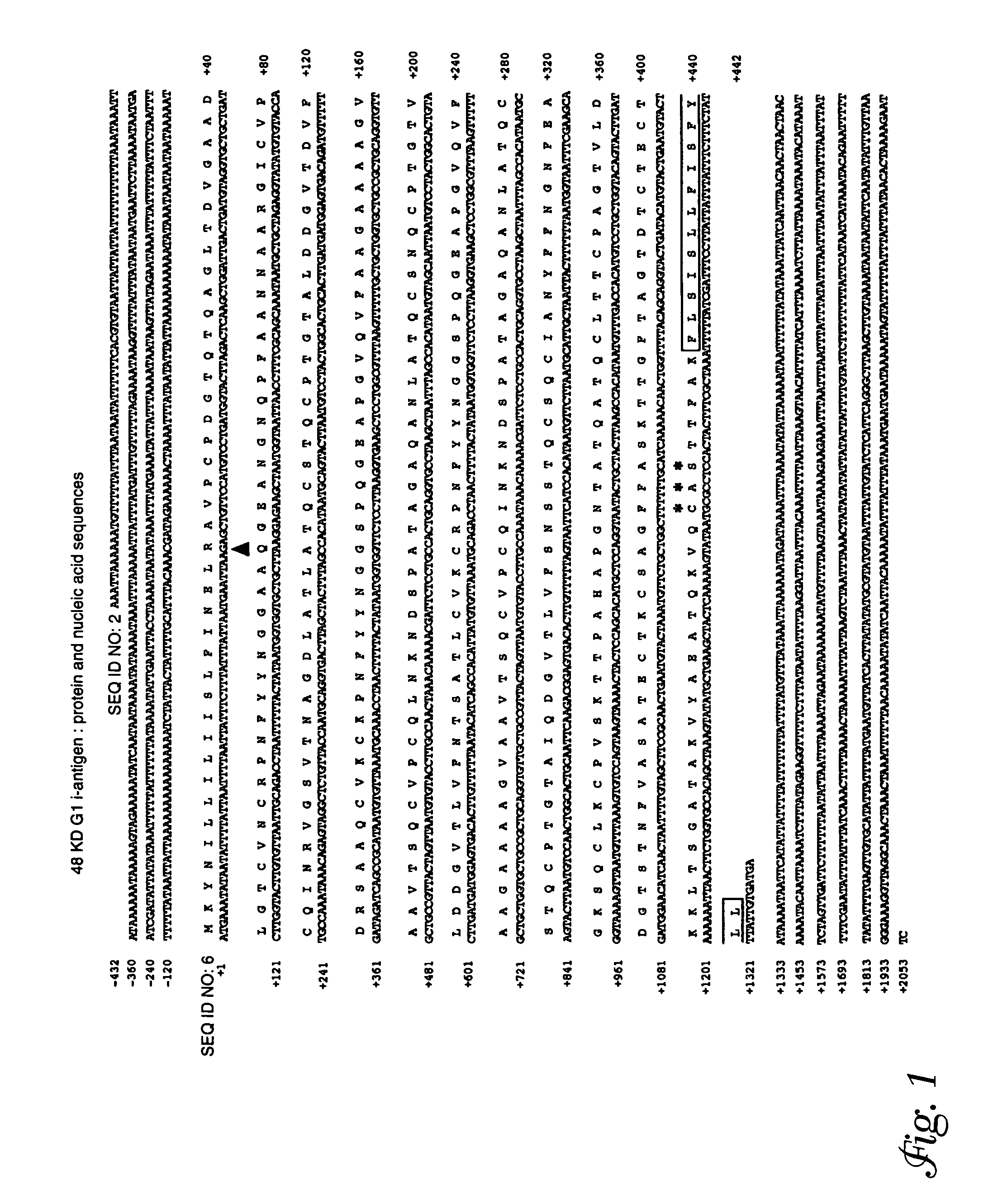 Diagnostic and protective antigen gene sequences of ichthyophthirius