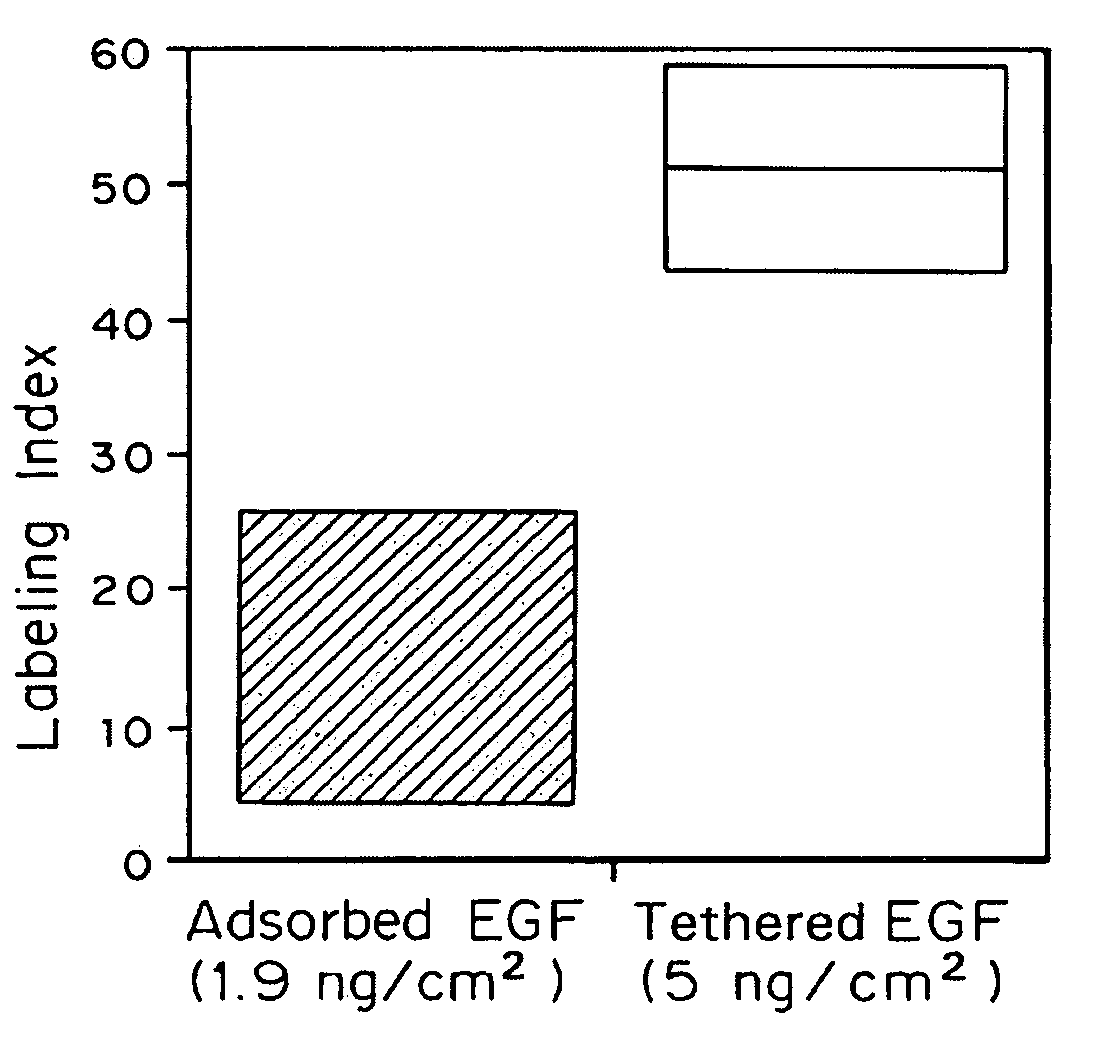 Cell growth substrates with tethered cell growth effector molecules