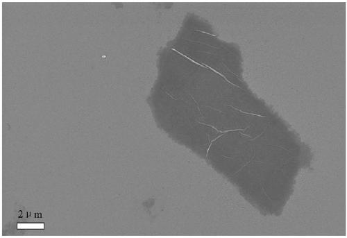 Method for preparing black phosphorus nanosheets