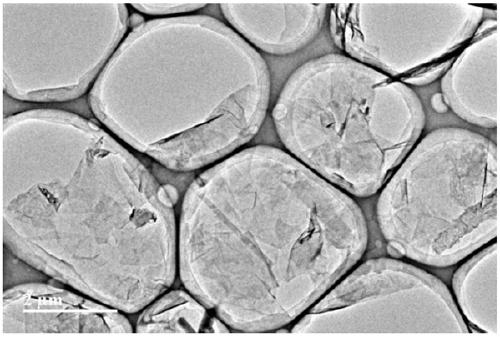 Method for preparing black phosphorus nanosheets