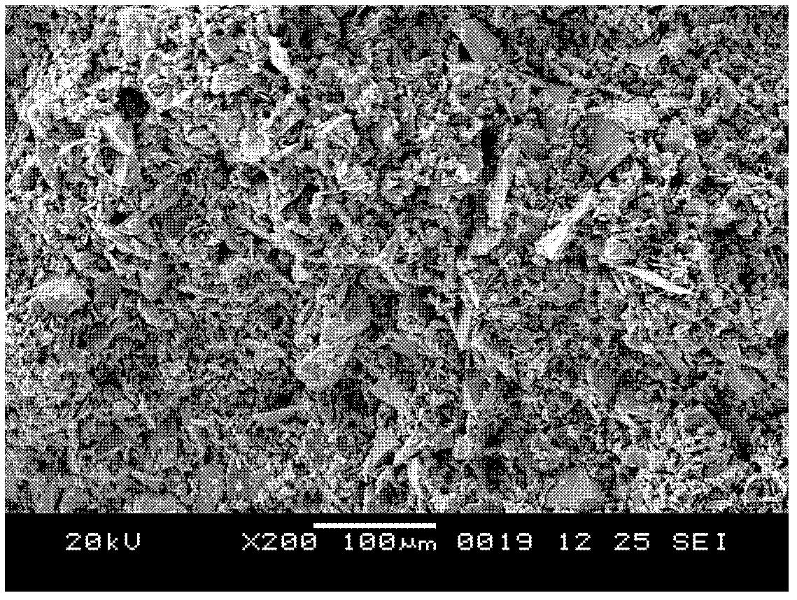 Pore gradient silicon carbide porous ceramic and preparation method thereof