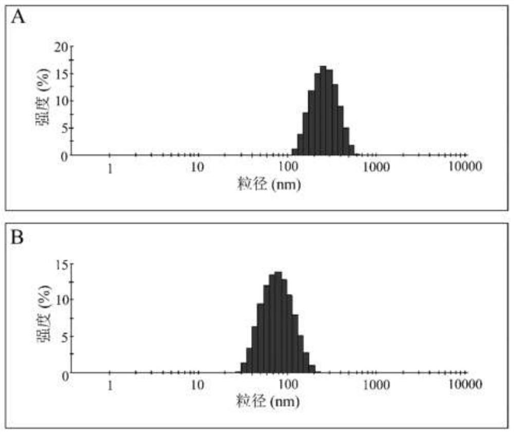 Preparation method of ganoderan nano-selenium, ganoderan nano-selenium and application thereof