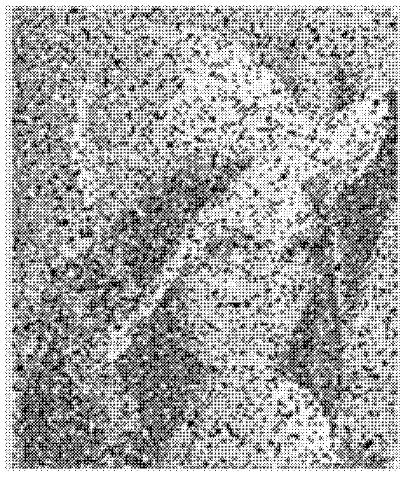 Method for de-noising of balanced morphology filter image optimized by particle swarm